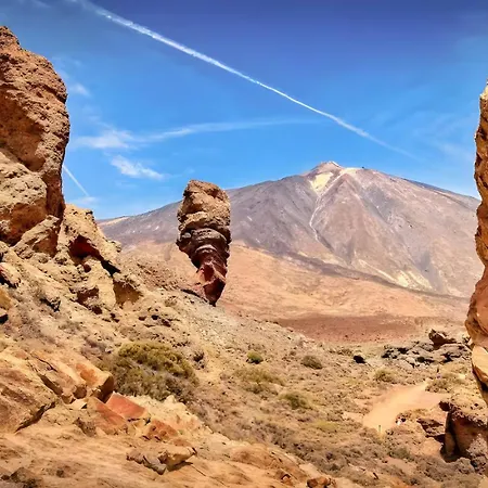 Sea View, 5min Beach, Wifi, Pool, Center, Dolphin Excursions, Kids Friendly Appartement *